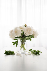 white peonies in a vase and fallen leaves on a white vintage table  - copy space