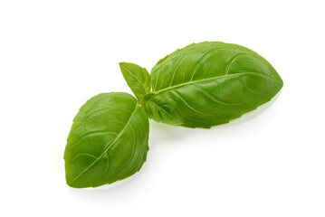 Fresh green basil leaves, isolated on white background.