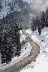 Obraz premium Curved asphalt road in a forest covered with snow in.turkey