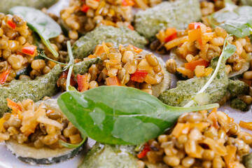 Dish of zucchini, beans and vegetables with spinach sauce
