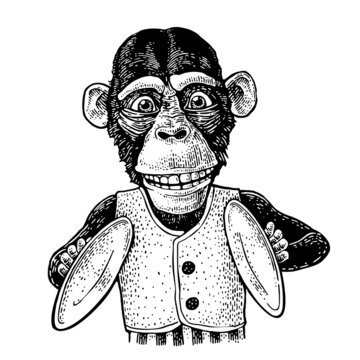 Monkey beat cymbal. Vintage black engraving illustration. Isolated on white
