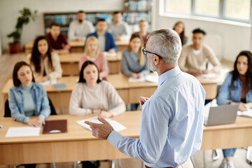 Rear view of mature teacher talking to his student during lecture at university classroom. - obrazy, fototapety, plakaty