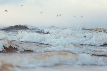 Storm waves in the sea