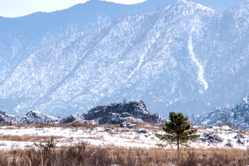 snow covered mountains