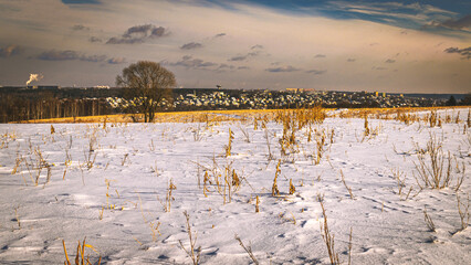 Śnieżna polana © Krzysztof Rostkowski