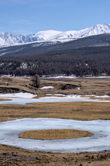 forest winter mointain