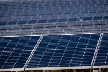 Buniferri photovoltaic park, solar energy plates, Llucmajor, Mallorca, Balearic Islands, Spain