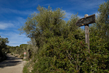 cycle route road signage, Llucmajor, Mallorca, Balearic Islands, Spain