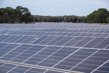 Sa Caseta Parc Fotovoltaic, solar energy plates, Llucmajor, Mallorca, Balearic Islands, Spain