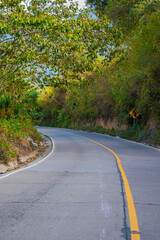 carretera en el bosque 