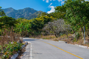 paisaje de carretera con montañas y bosque 