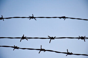 barbed wire on the wall. close-up barbed wire.