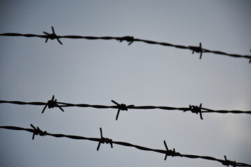 barbed wire on the wall. close-up barbed wire.