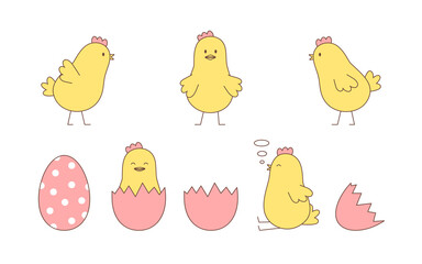 Set of chickens and eggs