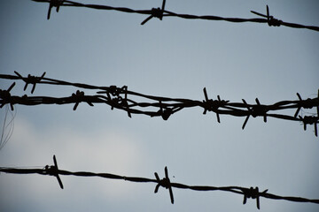 barbed wire on the wall. close-up barbed wire.