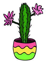 Cute hand drawn simple cactus. Houseplant in a pot. Colorful cacti illustration isolated on white background. Cozy home doodle.