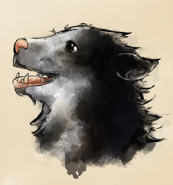 ilustrasion de un osos andino