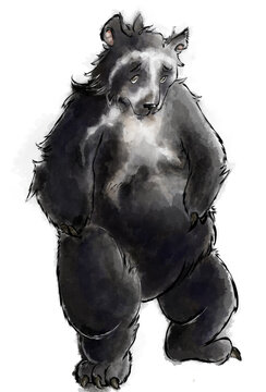 oso andino triste