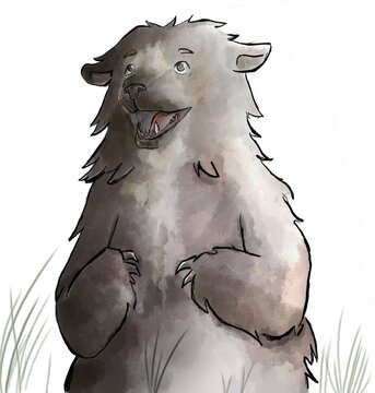 osos sonrisa
