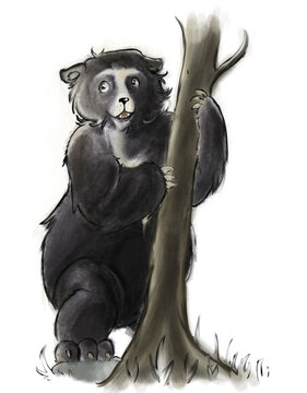 oso trepando