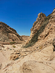 the valley of a dried-up river in the desert