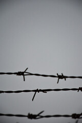 barbed wire on the wall. close-up barbed wire.