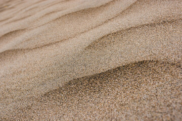 Fototapeta na wymiar beautiful sandy but windy beach Brusand in Norway - detail of sand
