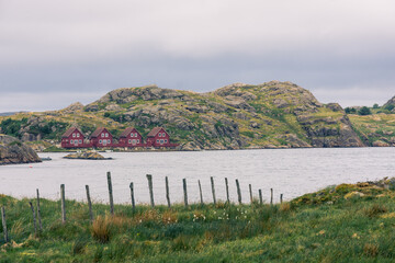 Norwegian coast with typical Nordic houses