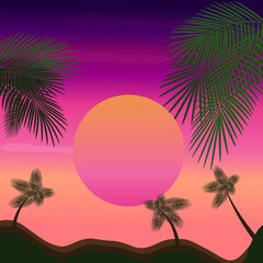 pink tropical sunset with palm trees
