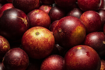 Camu camu fruits, an exotic plant from the Amazon, used in the preparation of various inputs, such...