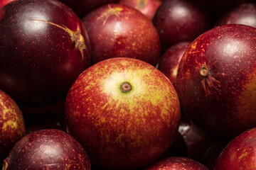 Camu camu fruits, an exotic plant from the Amazon, used in the preparation of various inputs, such as soft drinks, sweets, etc., it is very common to find it in the city of Iquitos in Peru, it is brou