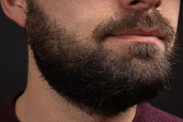 Fototapeta premium Handsome bearded man close up. Closeup of bearded mans. Male with mustache growing. Perfect beard. Close-up of young bearded man. Close up of handsome beard hipster elegant male.