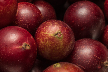 Camu camu fruits, an exotic plant from the Amazon, used in the preparation of various inputs, such...