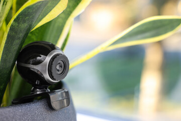 Camera hidden in flowerpot with houseplant on windowsill. Space for text