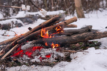 Roasted marshmallows on a fire in the winter forest