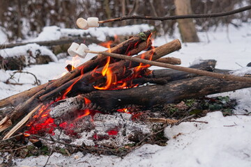 Roasted marshmallows on a fire in the winter forest