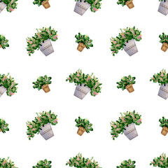Seamless floral pattern. Watercolor botanical background with potted flowers, plants in iron bucket for textile, wrapping paper, wallpaper