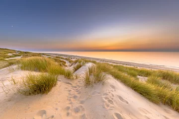 Poster de jardin Mer du Nord, Pays-Bas Coucher de soleil sur l& 39 océan depuis la dune en Zélande