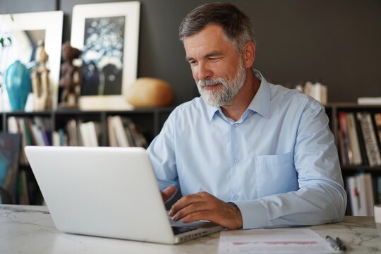 Portrait of senior man with grey hair working with laptop in office.