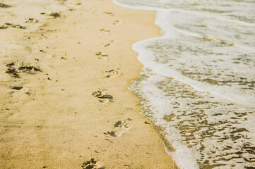 Sandy Footprints