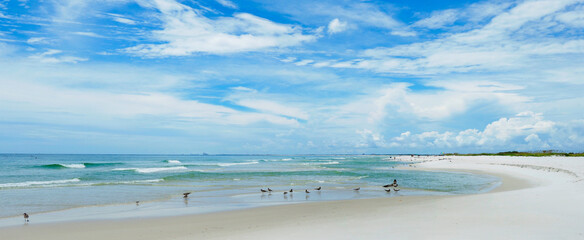 Huge Panorama of a Beautiful White Sand Florida Beach on Sunny Summer Day