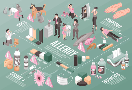 Isometric Allergy Infographic Composition