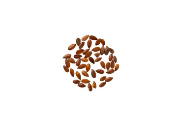 Linseed (flax seed) isolated on a white background.