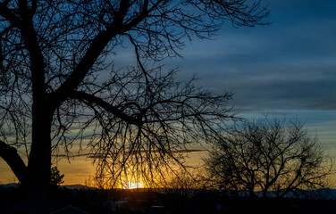 Fototapeta na wymiar An incredibly beautiful winter sunset against the tree branches in Colorado