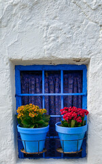 Small window with blue frame and curtain decorated with two flower pots
