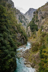 Fototapeta na wymiar Ruta del Cares trail nature landscape in Picos de Europa national park, Spain