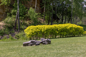 The surroundings of the excavation of a closed dolomite mine, a picturesque park, Jaworzno,...