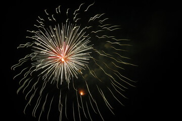 fireworks in the night sky