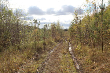 Fototapeta premium path in the mountains