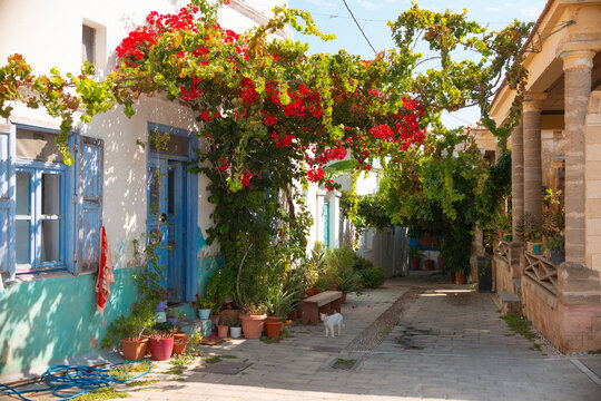 Fototapeta Traditional housing in Koskinou Rhodes Greece